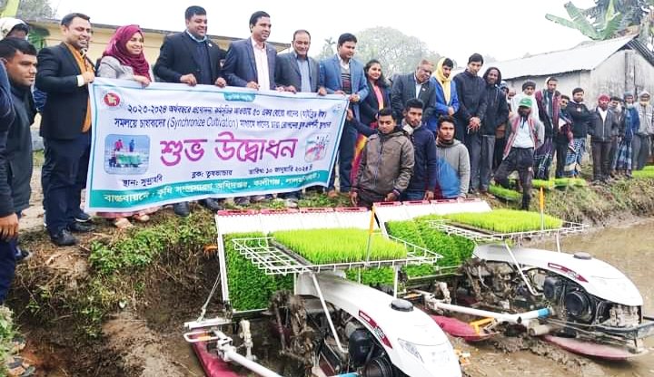 কালীগঞ্জে রাইস ট্রান্সপ্লান্টার যন্ত্রের সাহায্যে ধানের চারা রোপনের শুভ উদ্বোধন