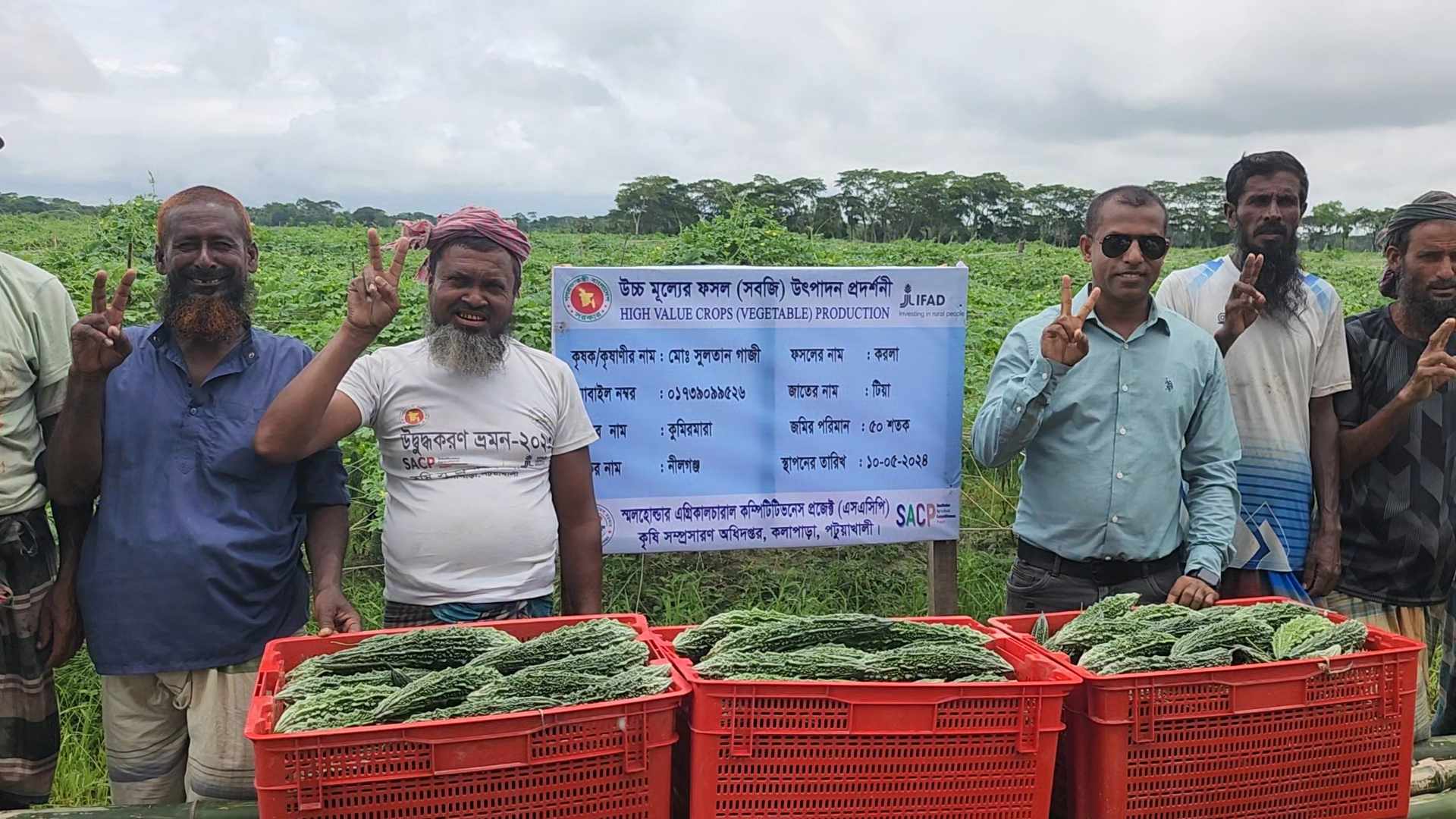 পটুয়াখালী কলাপাড়ায় করলার বাম্পার ফলন কৃষকের মুখে হাসি