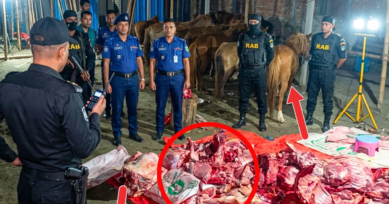 গোপন কসাইখানায় অভিযান: ঘোড়ার মাংসসহ জীবিত ঘোড়া উদ্ধার, আতঙ্কে স্থানীয়রা